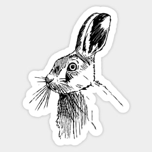 Etched Hare Sticker